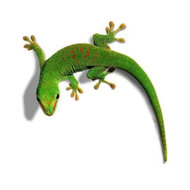 Spanntuch mit Gummilippe bis 1m²